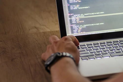 留美十年博士觀察 裁員潮下，計(jì)算機(jī)科學(xué)為何依然是值得選擇的“硬核”專業(yè)